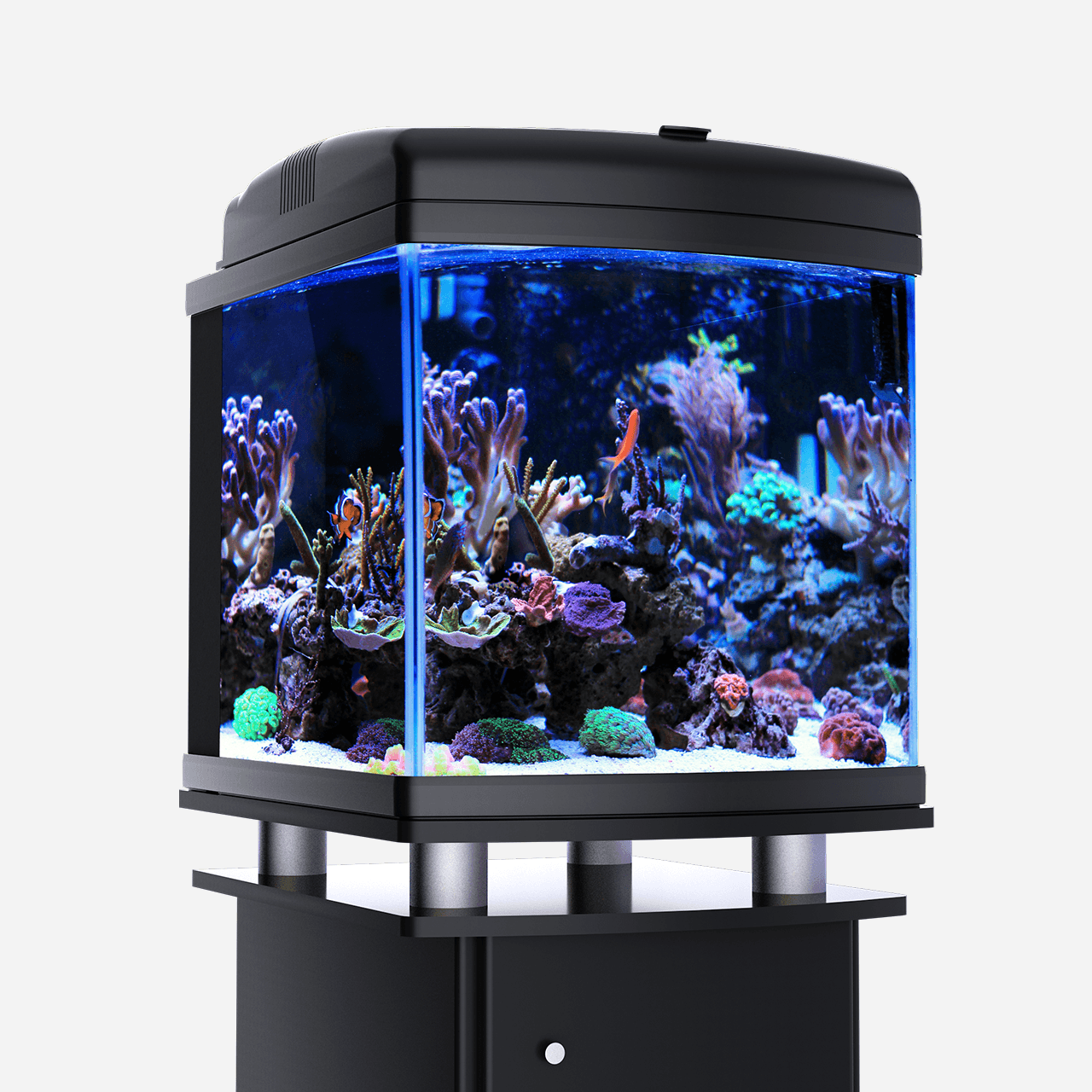 best wavemaker reef tank best wavemaker reef tank